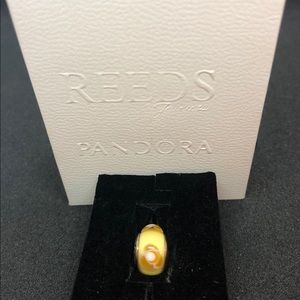 Pandora Flowers for You Murano Glass Charm Orange